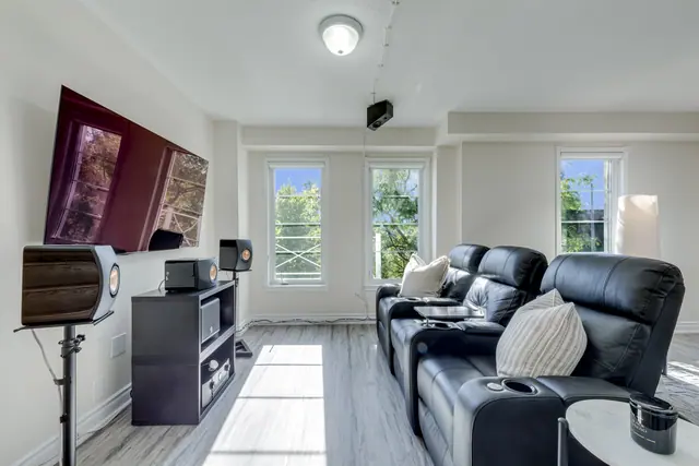 Family room windows
